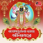Vallabhkulna Vhala Shrinathji
