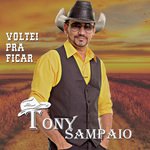 Voltei Pra Ficar