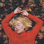 we fell in love in october / forget her