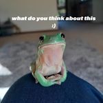 what do you think about this :)