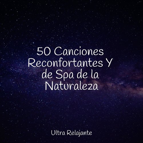 50 Canciones Reconfortantes Y de Spa de la Naturaleza