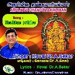 Arulmigu Dhandumariamman - Ninaikkumpothile