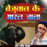 Bejuban Ke Maral Jata