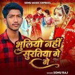 Bhuliyo Nahi Suratiya Ge