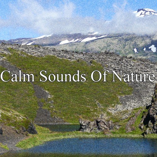 Calm Sounds Of Nature
