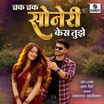 Chak Chak Soneri Kes Tujhe