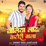 Choliya Lada Katori Wala