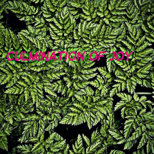 Culmination Of Joy