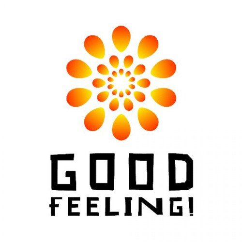 Good Feeling - Single (Tribute to Flo Rida)