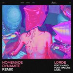 Homemade Dynamite (REMIX)