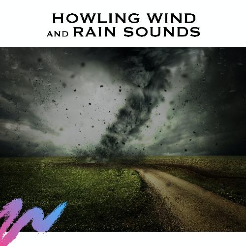 Howling Wind and Rain Sounds