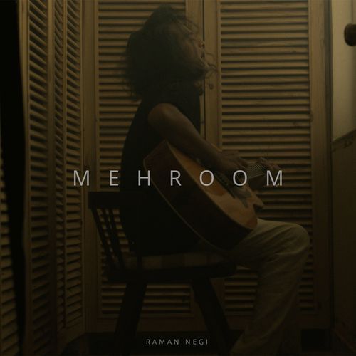 Mehroom_poster_image