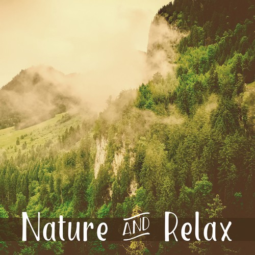 Nature & Relax – Healing Sounds for Relaxation, Deep Sleep, Forest Melodies, Relaxed Mind, Singing Birds_poster_image