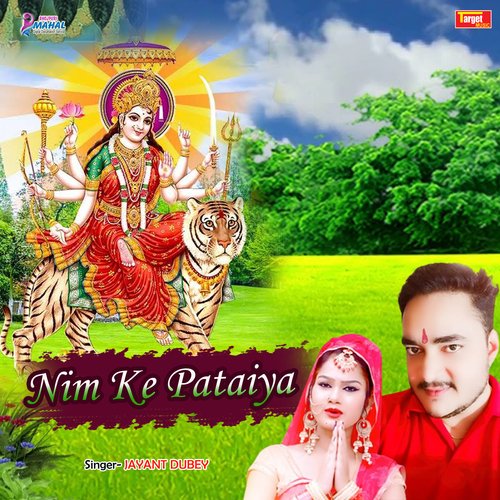 Nim ke pataiya