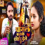 Pagal Bana Dele Jaan Ge