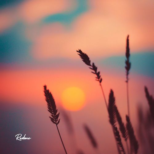 Redone cover art