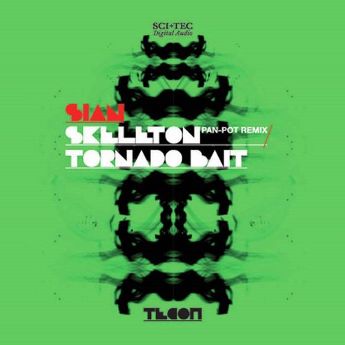 Skeleton (Pan-Pot Remix) cover art
