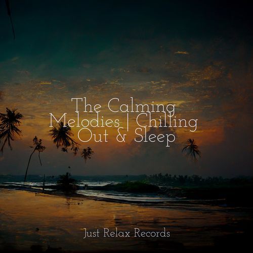 The Calming Melodies | Chilling Out & Sleep