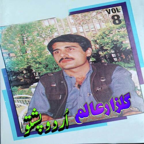 Urdo & Pashto Song, Vol. 8