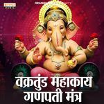 Vakratunda Mahakaya Ganpati Mantra