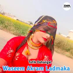 Waseem Akram Ladmaka-QiABSAR2b1s