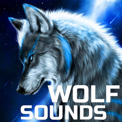 Animal Planet Wolf Sounds