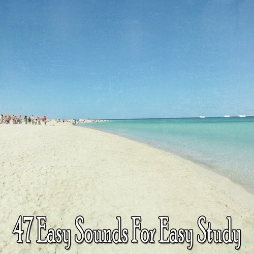 47 Easy Sounds for Easy Study