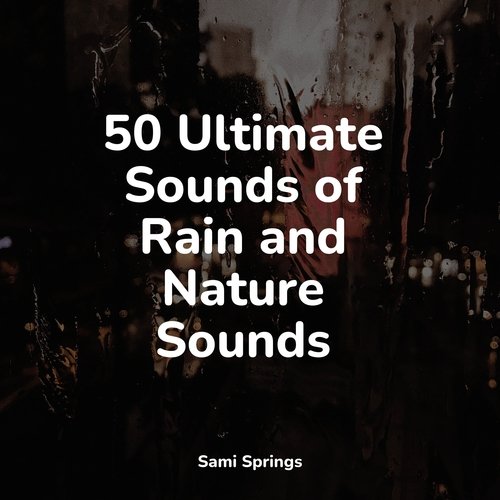 50 Ultimate Sounds of Rain and Nature Sounds