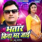 Bhatar Bina Mar Jayi artwork