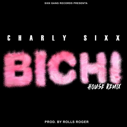 Bichi (House Remix)