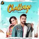Challenge