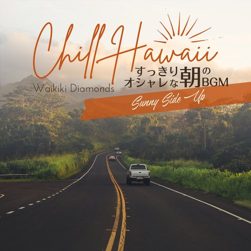 Waikiki Island cover art