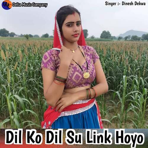 Dil Ko Dil Su Link Hoyo