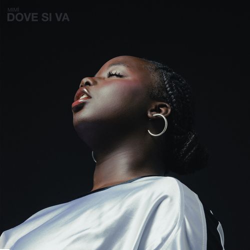 Dove si va_poster_image