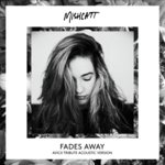 Fades Away (Avicii Tribute Acoustic Version)