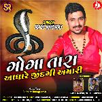 Goga Tara Aadhare Jindagi Amari