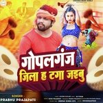 Gopalganj Jila H Tanga Jaibu