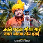 Jable Padhaba Goga Gai Table Jotaba Teen Harai