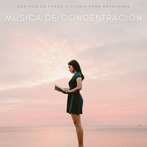 Concentración En La Tarea cover art