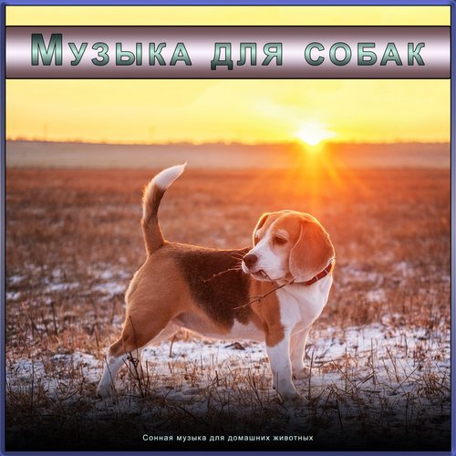 Музыка для собак cover art