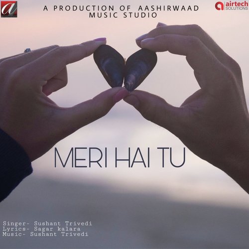 Meri Hai Tu_poster_image