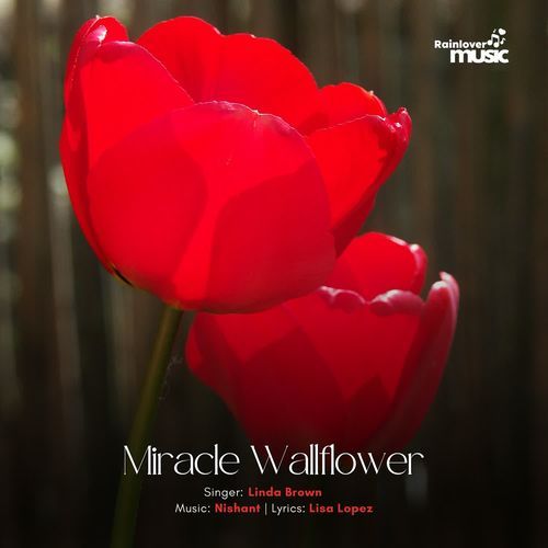 Miracle Wallflower