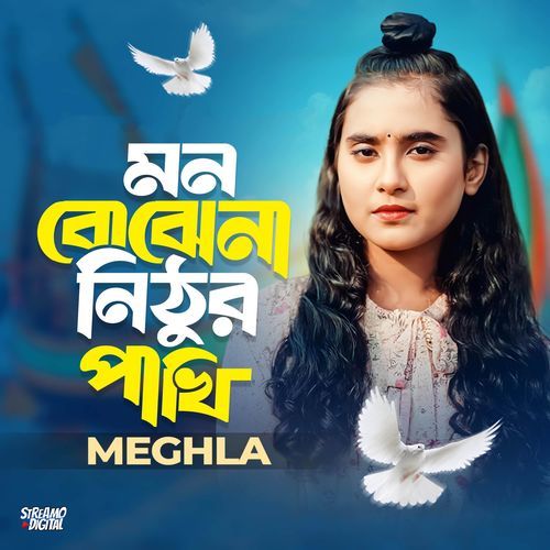Mon Bojhena Nithur Pakhi