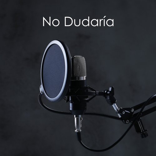 No Dudaría_poster_image