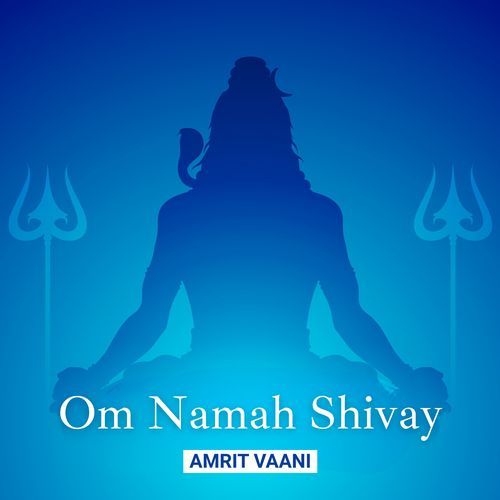 Om Namah Shivay: One Hour Chanting
