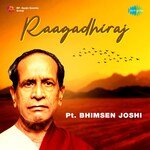Raagadhiraj - Pt. Bhimsen Joshi