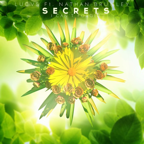 Secrets (I Can't Forget)