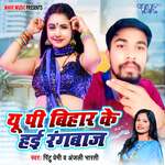 U P Bihar Ke Haie Rangbaj