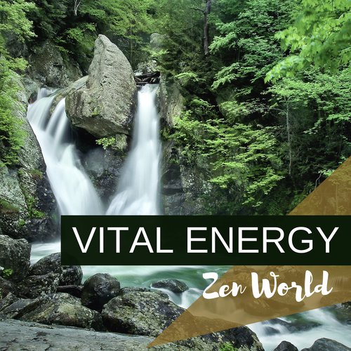 Vital Energy Zen World