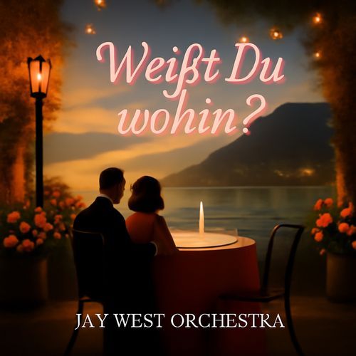 Weisst Du wohin (Karaoke Version) cover art